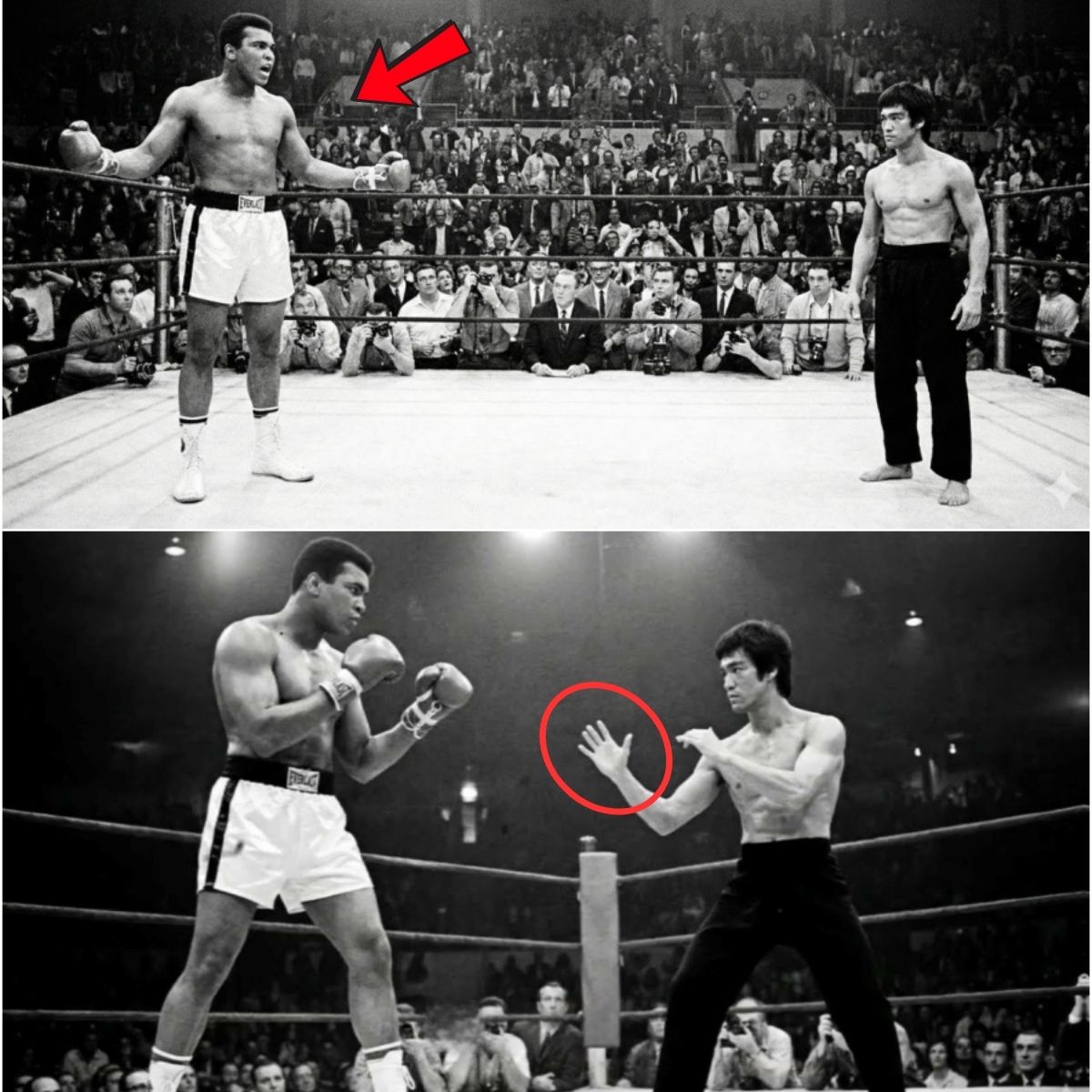 Bruce Lee was called to the ring by Muhammad Ali and said: “Hit me” — 3 seconds later, he made history…
